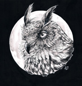 Ilustracja Magdaleny Otyś "Sowa"
